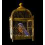 A bird in a gilded cage
